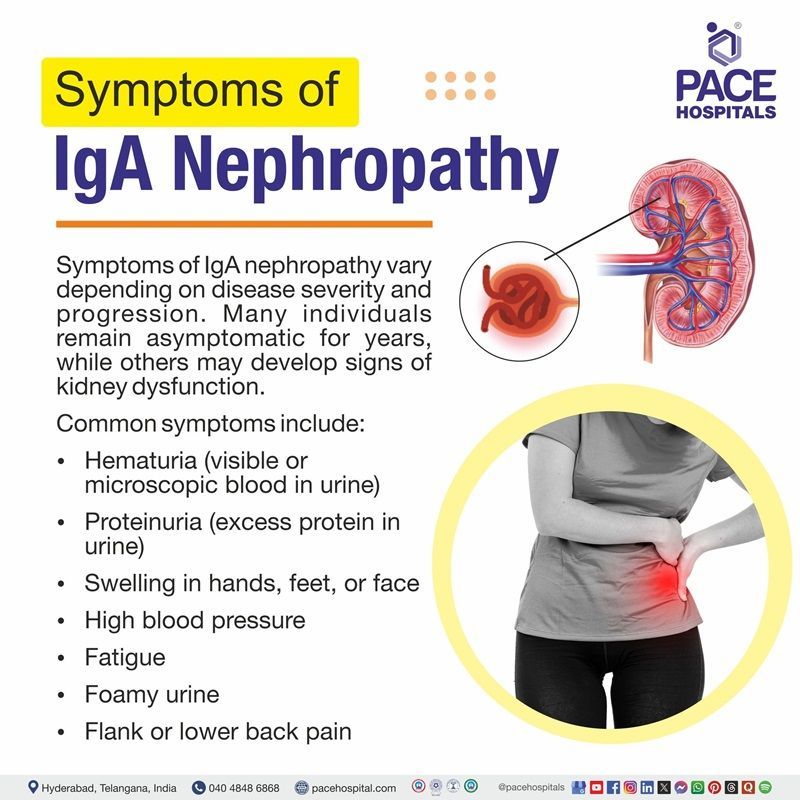 igA nephropathy symptoms​ | symptoms of igA nephropathy ​| Visual depicting the symptoms of igA nephropathy