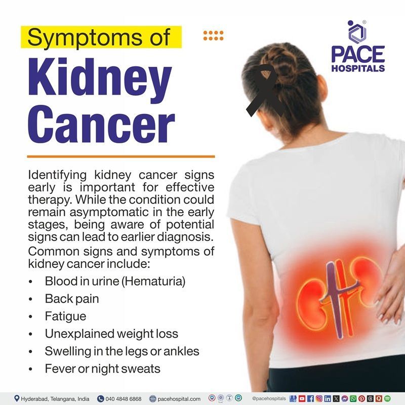 Kidney cancer symptoms | Infographic showing the symptoms of Kidney cancer