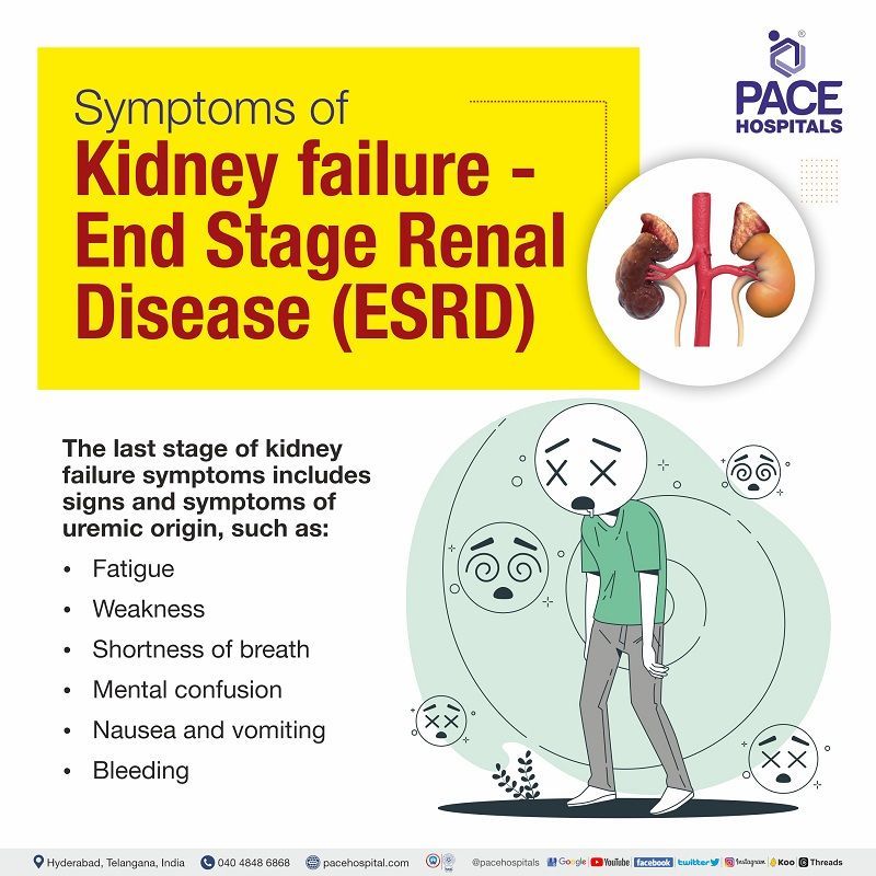 kidney failure symptoms | kidney failure treatment in hyderabad india | esrd symptoms | early symptoms of kidney failure | signs and symptoms of kidney failure | end stage renal disease symptoms