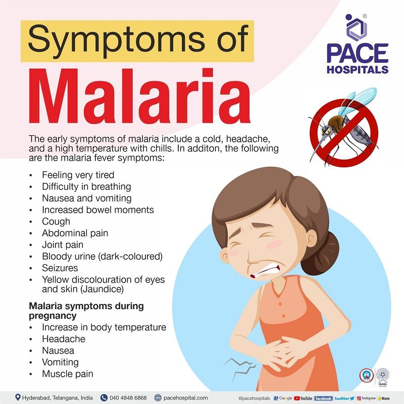 signs and symptoms of malaria disease | brain malaria symptoms | malaria fever symptoms | symptoms of malaria in pregnancy