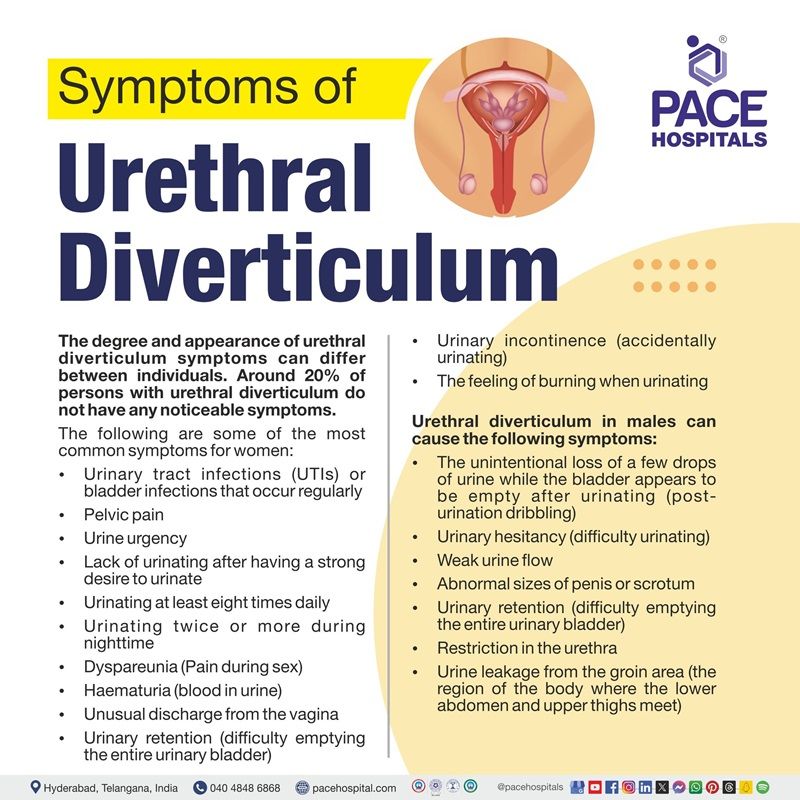 urethral diverticulum symptoms | symptoms of urethral diverticulum | What are the symptoms Urethral diverticulum | Visual outlining the symptoms of Urethral diverticulum 