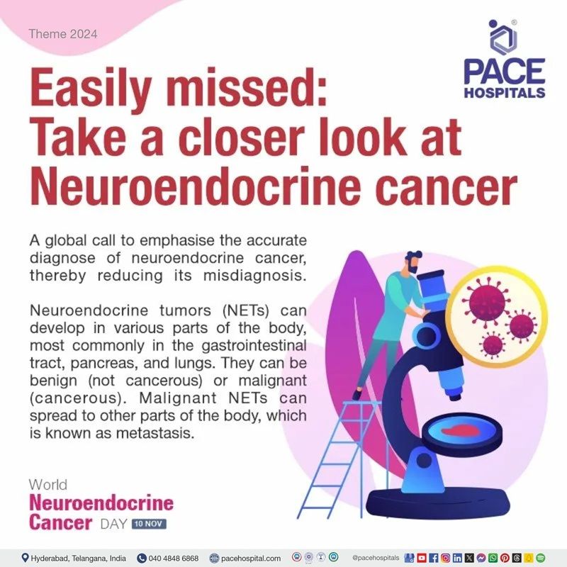 World Neuroendocrine Cancer Day 2024 theme | World NET Day 2024 theme | Theme of World Neuroendocrine Cancer Day 2024