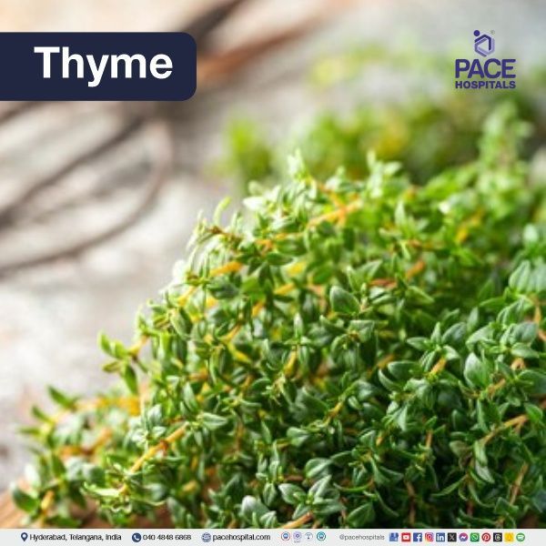 Thyme - natural remedy for dry cough | natural home remedies for cough | natural remedies for cold and cough
