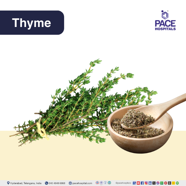 Thyme - Thymus vulgaris Thyme - natural remedies for intestinal infection
