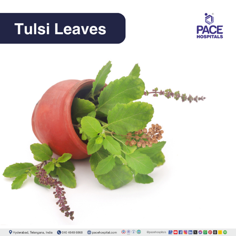 Tulsi leaves - home remedies for acidity | home remedies for acid reflux | home remedies for gastric and acidity | home remedies for heartburn and acidity | natural home remedies for acid reflux and gas