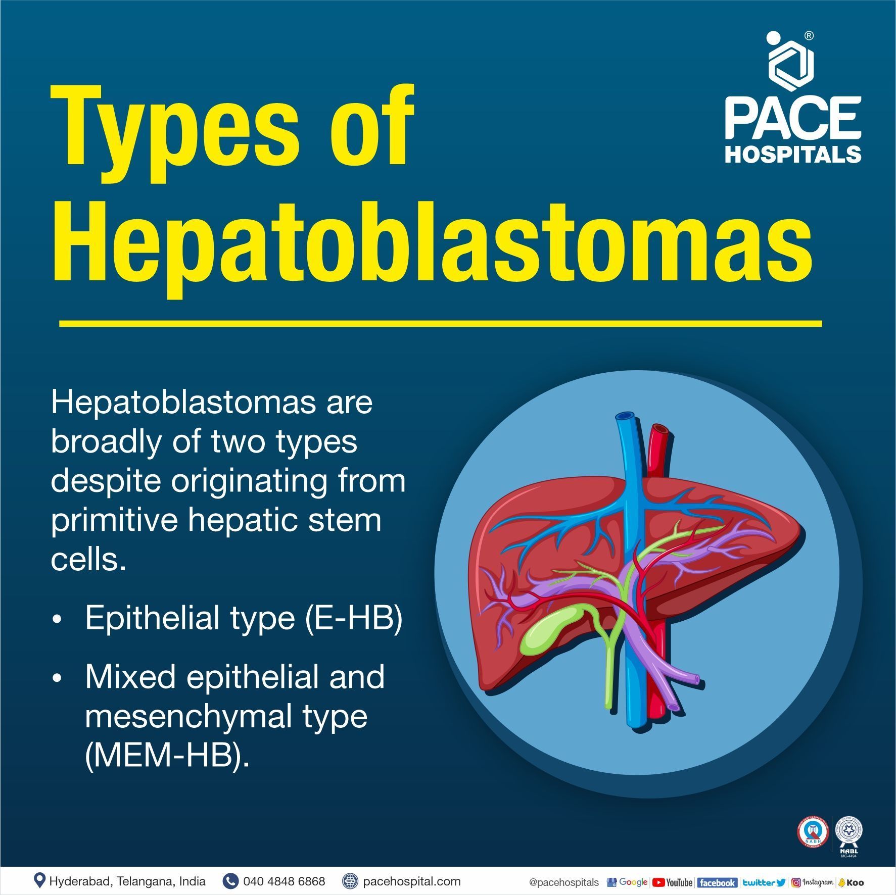 hepatoblastoma fetal type | types of hepatoblastomas | histological types of fetal cell hepatoblastoma