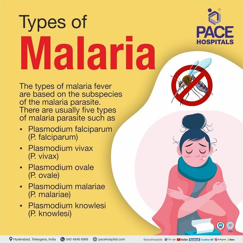 4 types of malaria fever | malaria parasite | different types of malaria in india | which type of mosquito causes malaria