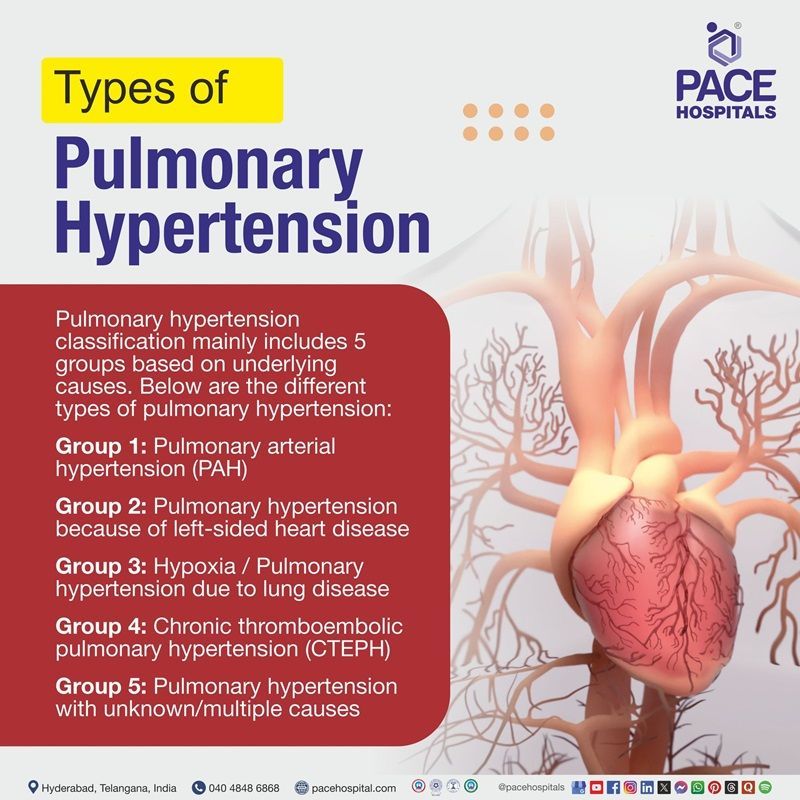 Types of Pulmonary Hypertension Type 1 pulmonary hypertension | different types of pulmonary hypertension | types of pulmonary hypertension