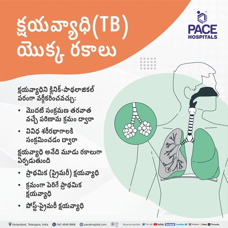 tuberculosis meaning in telugu | types of tuberculosis in telugu | tb disease types in telugu | about tuberculosis disease in telugu