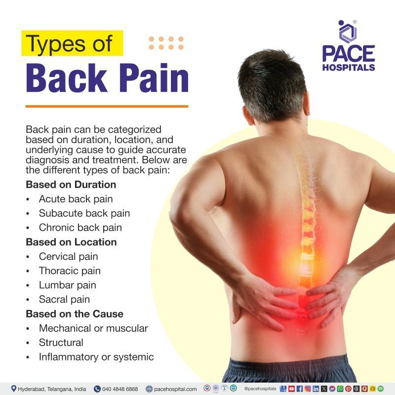 Types of Back Pain Types of Back Pain | Back Pain Types | Back Pain types with pictures | Different types of back pain