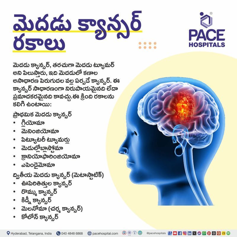 Brain Cancer Types in Telugu | మెదడు క్యాన్సర్ రకాలు | Types of BrainCancer in Telugu