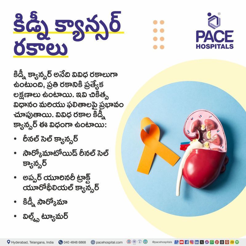 Types of Kidney Cancer in Telugu | కిడ్నీ క్యాన్సర్ రకాలు | Different types of kidney cancer in Telugu | Rare types of kidney cancer in Telugu