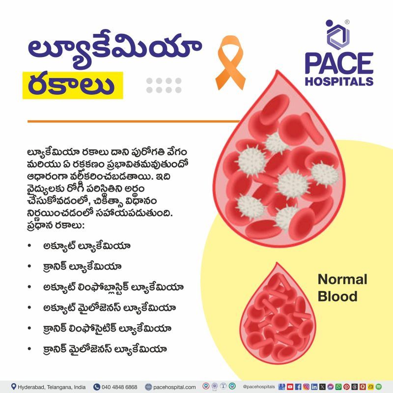 ల్యూకేమియా రకాలు | Types of Leukemia in Telugu Types of Leukemia in Telugu | ల్యూకేమియా రకాలు | Leukemia types in Telugu | Different types of leukemia in Telugu