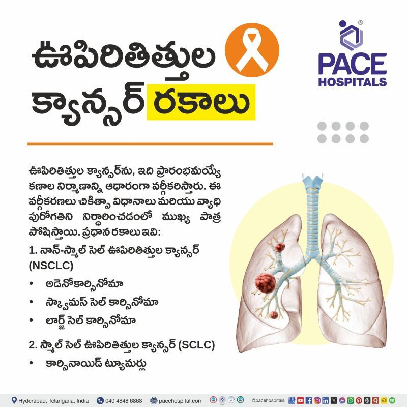 Types of Lung Cancer in Telugu | ఊపిరితిత్తుల క్యాన్సర్ రకాలు | Most Common Type of Lung Cancer in Telugu