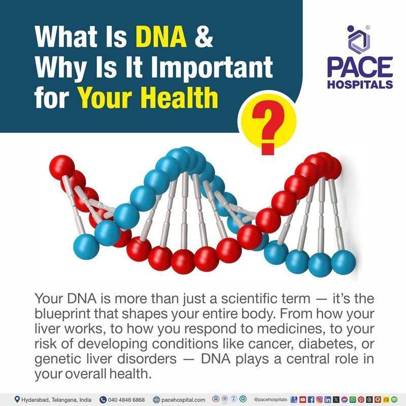 what is dna | dna simple guide | dna explained | genes and dna | how dna affects health