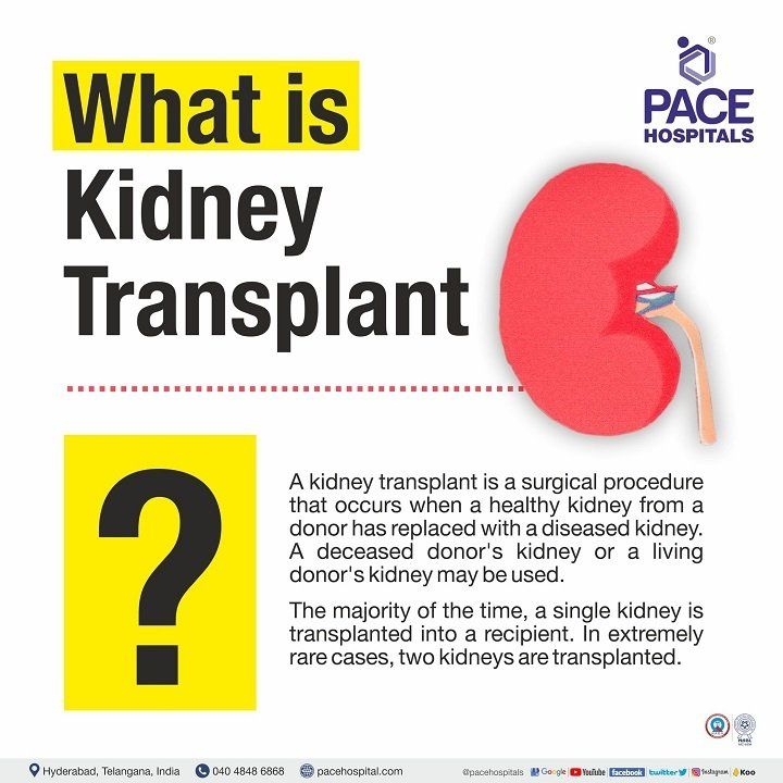 What is kidney transplant procedure | kidney transplantation in Hyderabad | best kidney transplant hospital in india