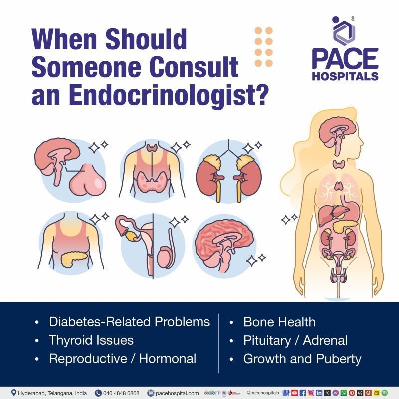 When Should Someone Consult an Endocrinologist? When Should Someone Consult an Endocrinologist | When to see an endocrinologist