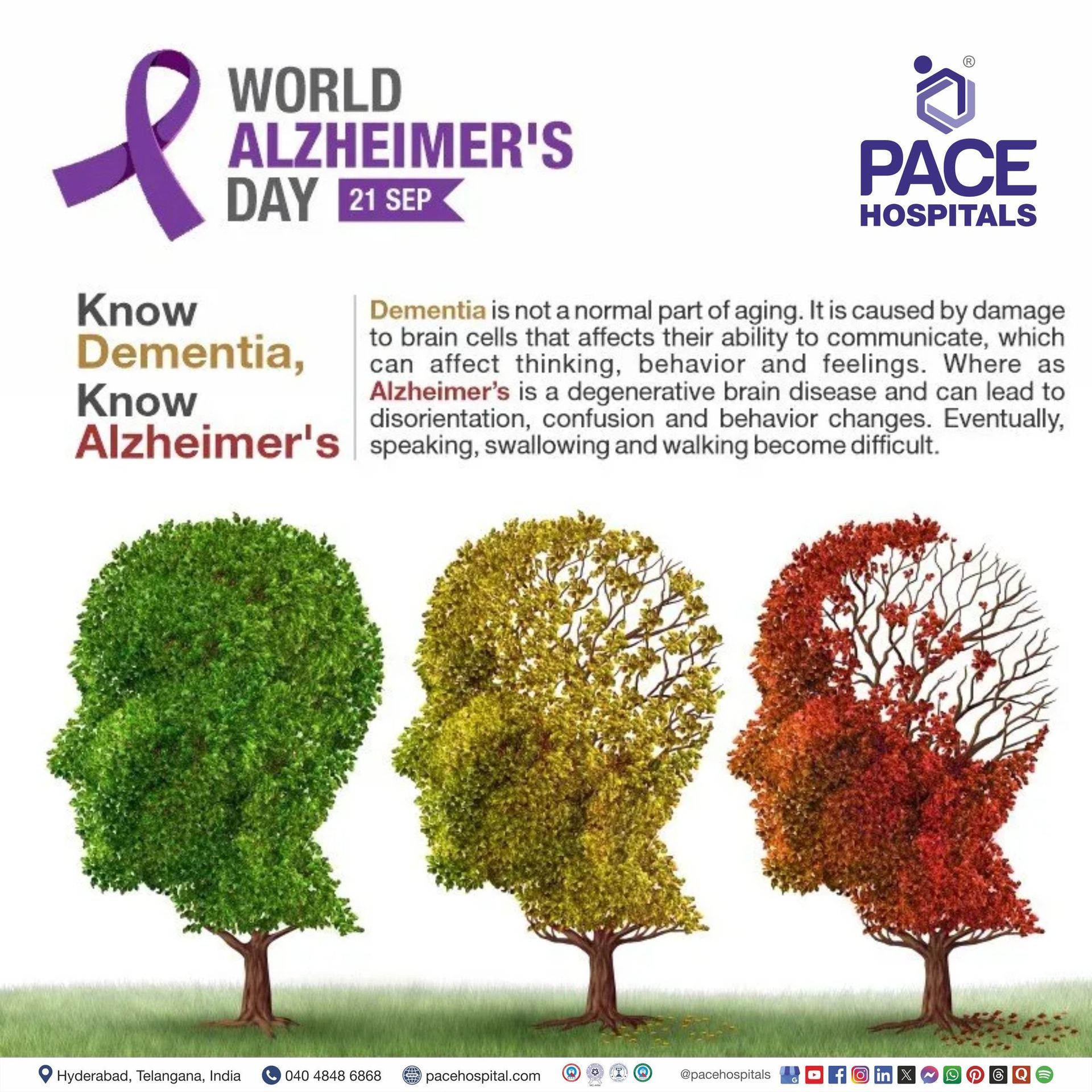 world Alzheimer's day 2025