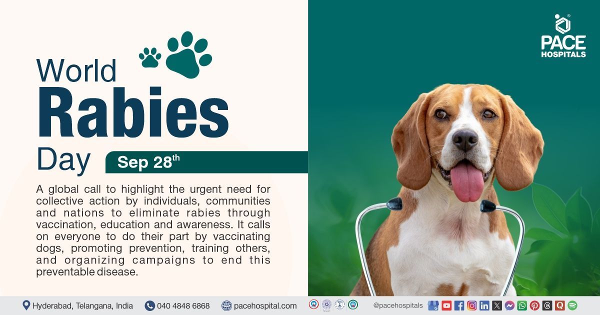 World Rabies Day, 28 September 2025 - Necessity, Theme, First aid | Theme of World Rabies day 2025