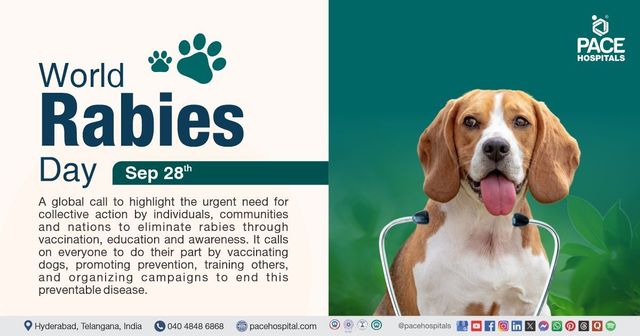 Anti Rabies Resolutions Rabies Prevention Month