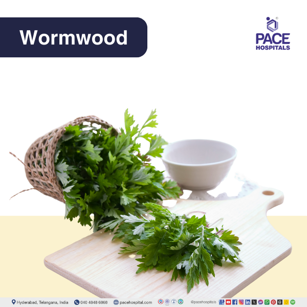Wormwood - Artemisia absinthium Wormwood - home remedies for intestinal infection