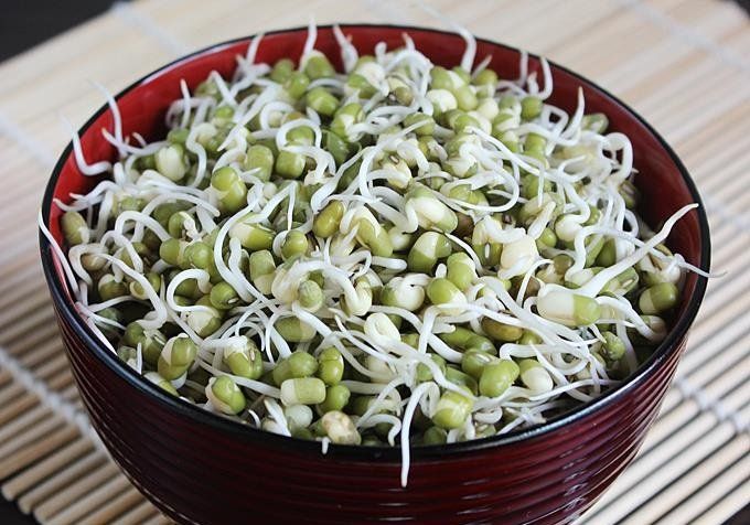 Low FODMAP Diet: Bean Sprouted