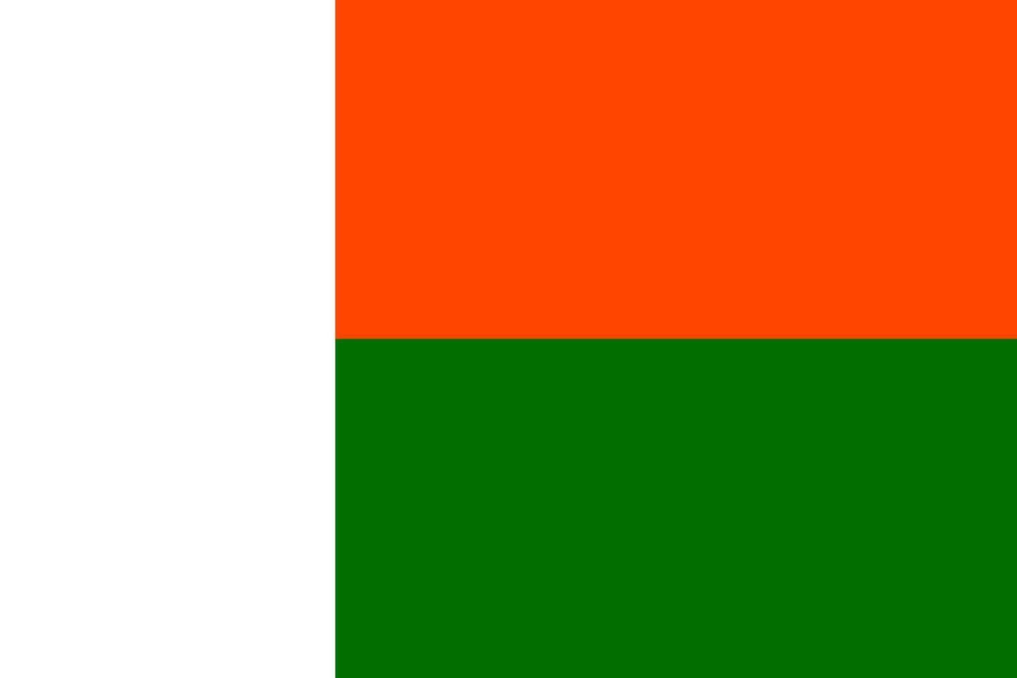Patients from Madagascar treated successfully at PACE Hospitals, India