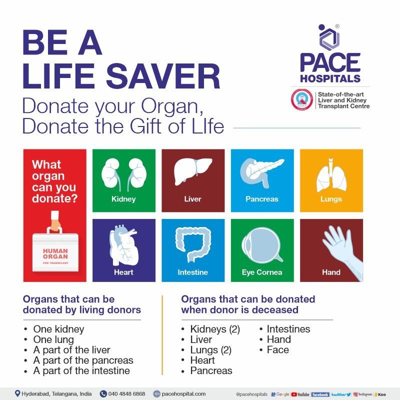 List of Organs that can be donated - world organ donation day poster
