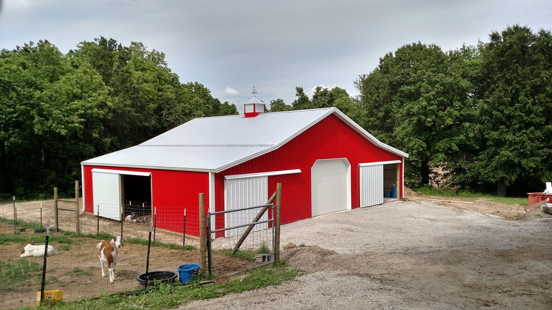 Red barn with white roof and doors, goats graze in front.