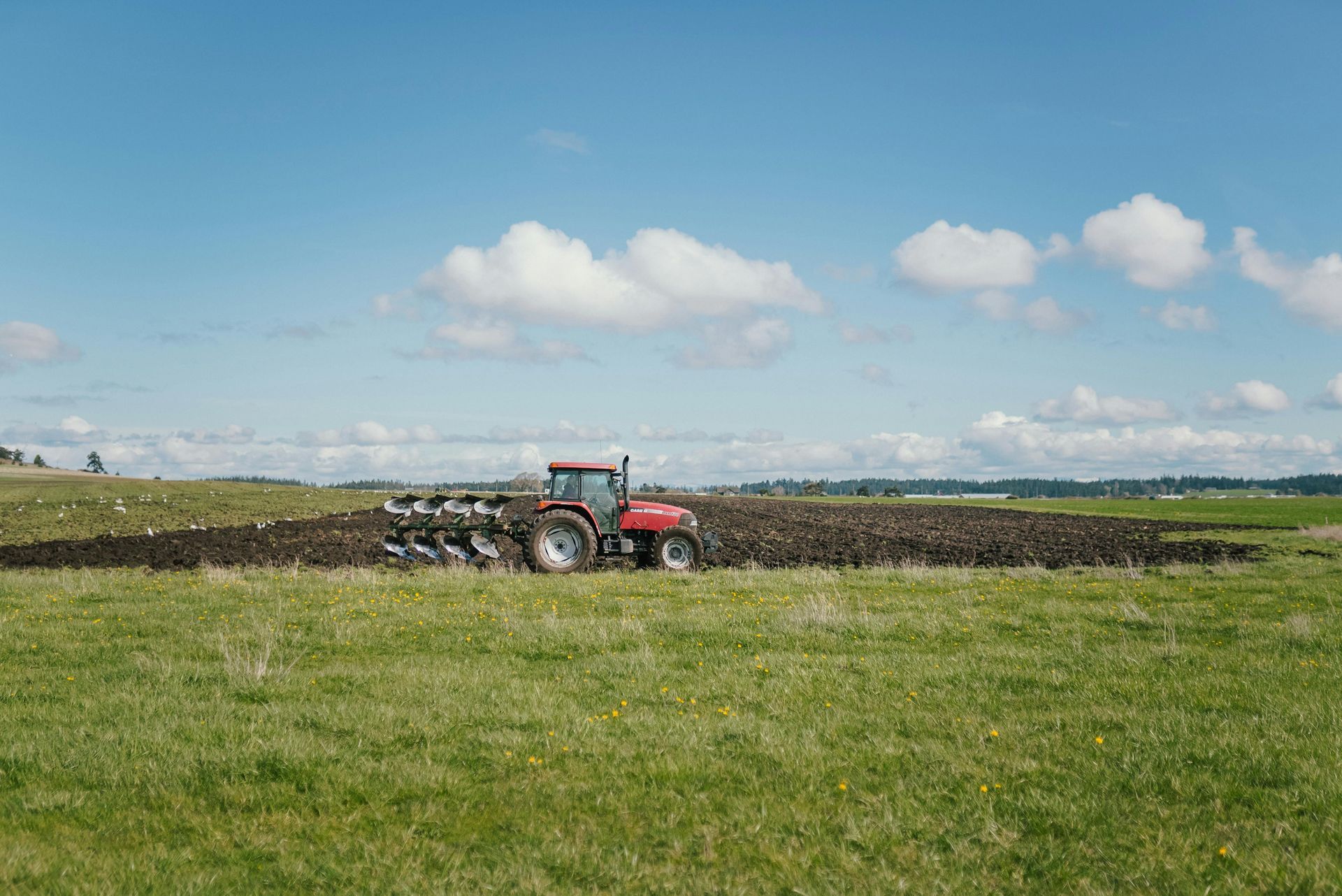 Red tractor plowing a field on a sunny day.