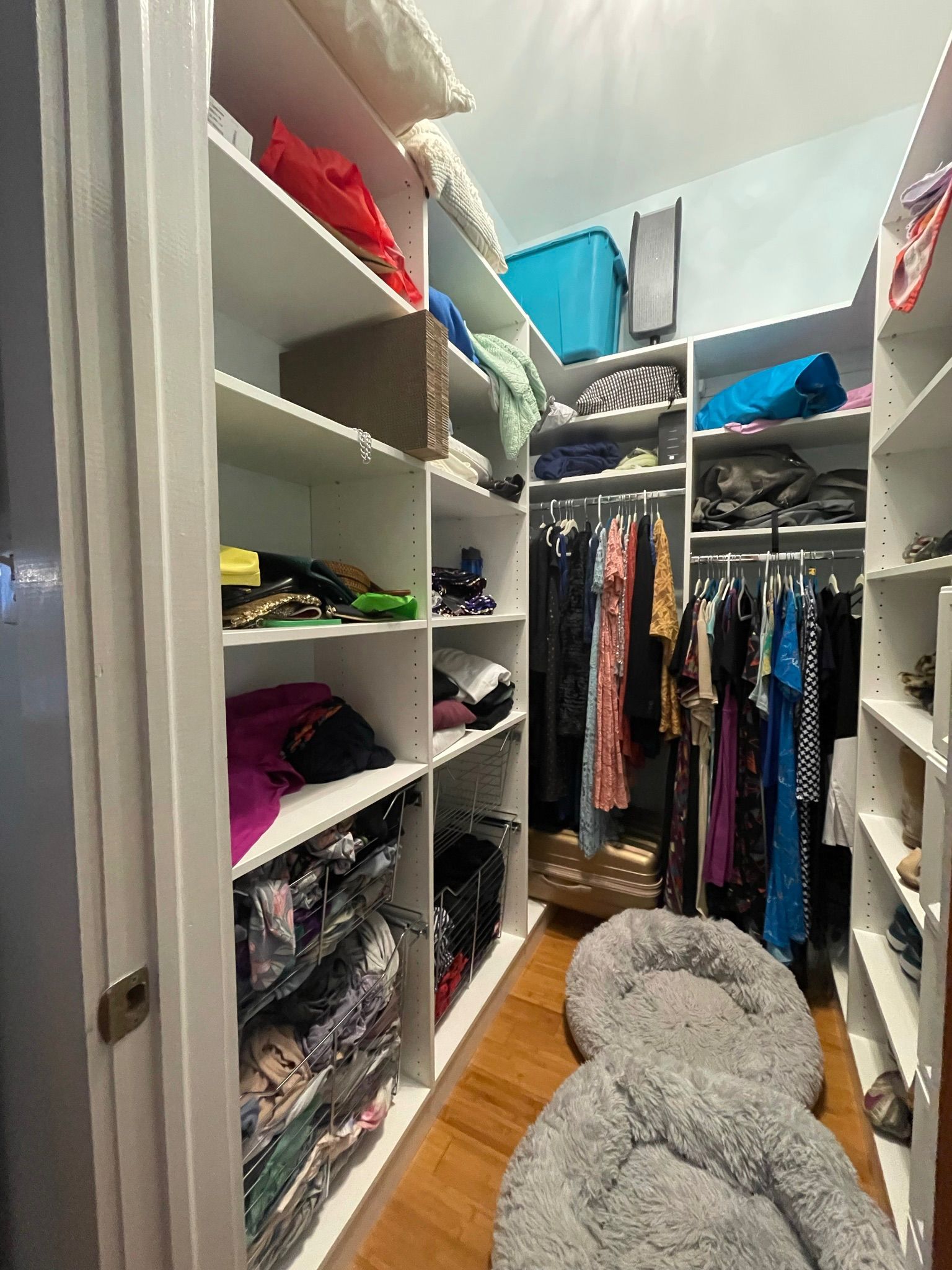 Walk-in closet with white shelves, clothing, and pillows. Two fluffy pet beds on the floor.