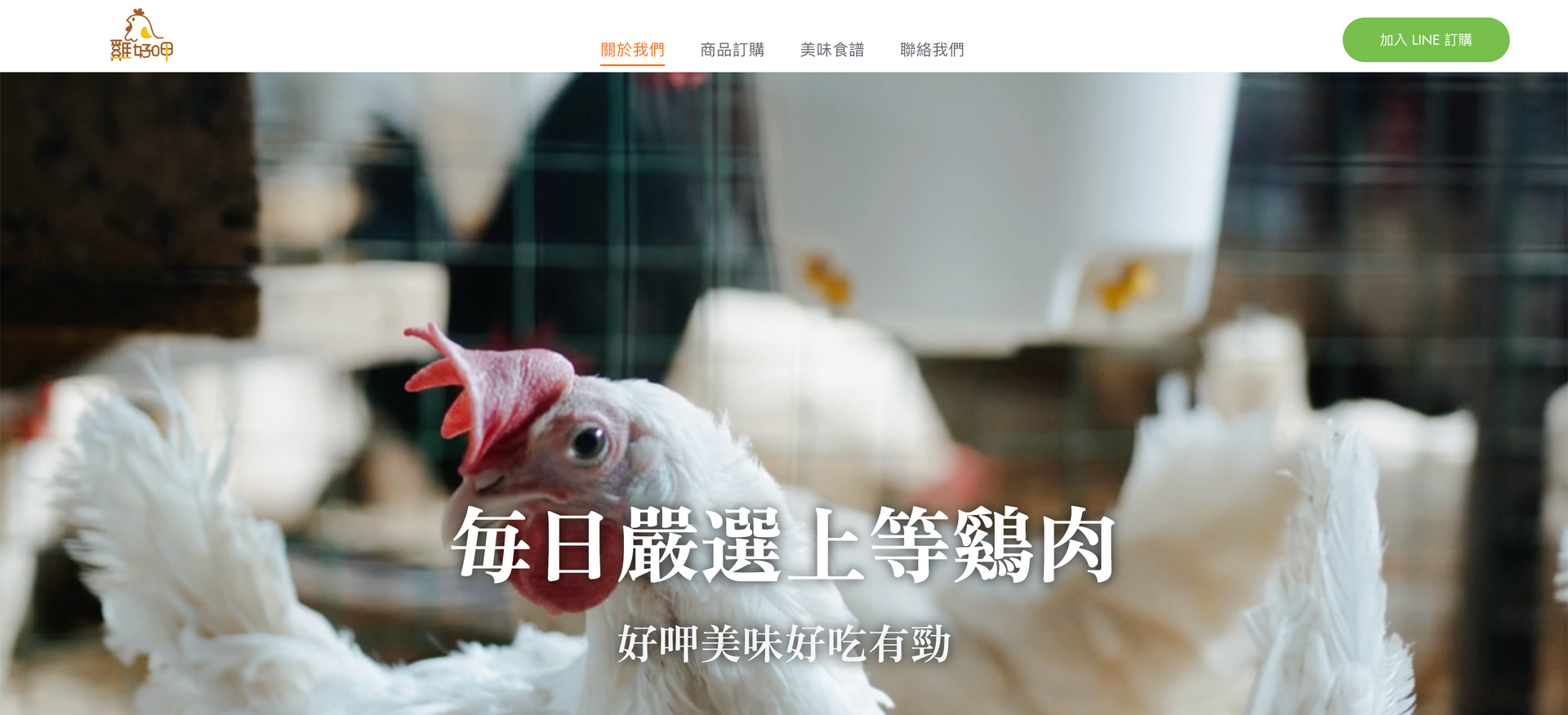 雞肉網站設計