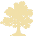 Butch's Tree & Landscaping Specialists