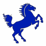 Blue Horse | Austin, TX | Mustang Jewelry and Pawn