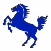 Other Side of the Blue Horse | Austin, TX | Mustang Jewelry and Pawn