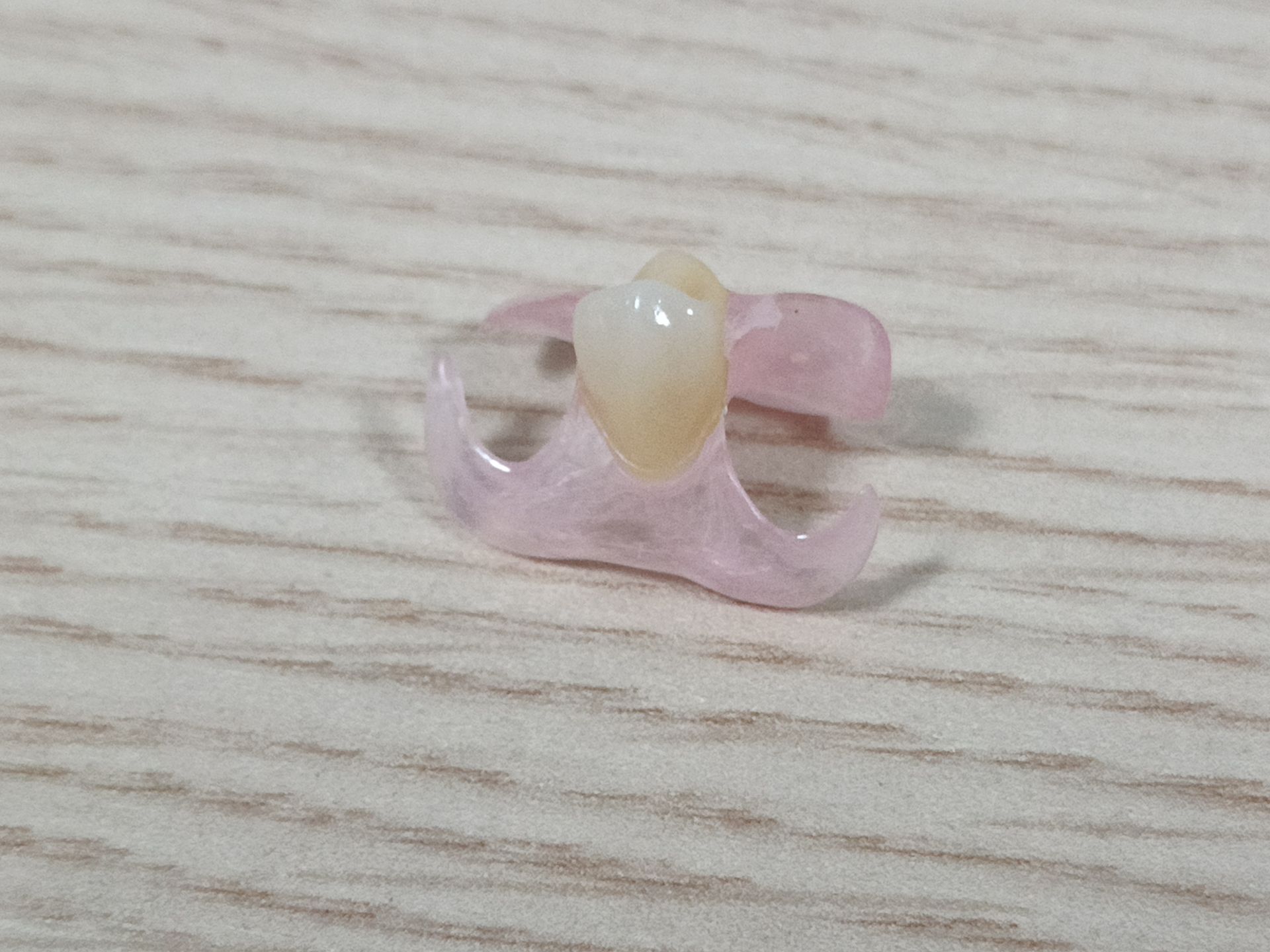 Protesi in nylon flessibili1