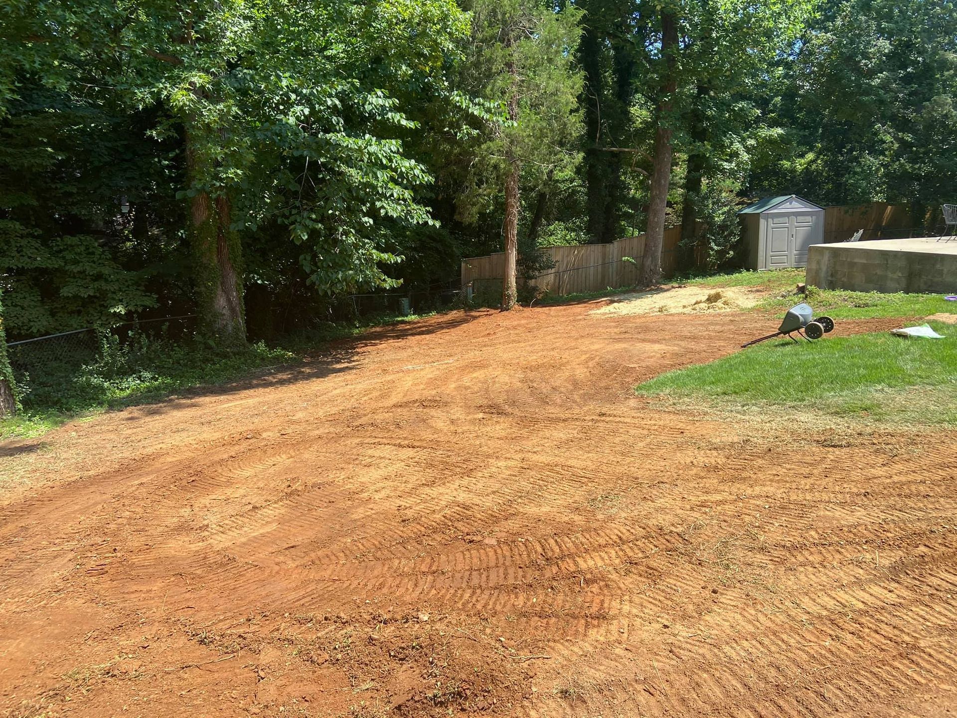 A dirt road in the middle of a forest with trees in the background.