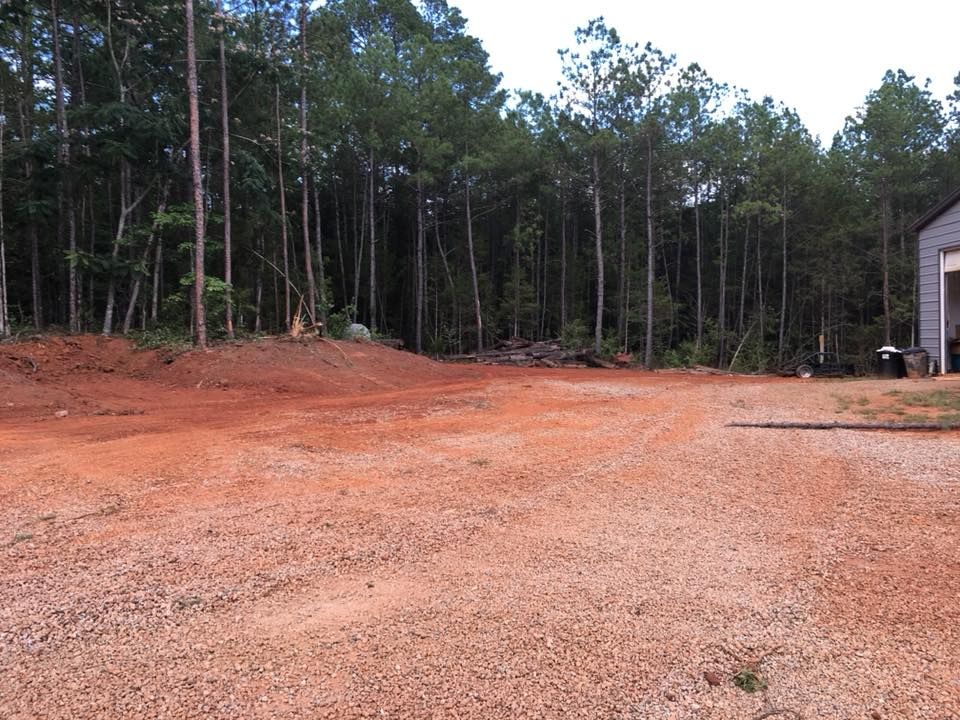 A dirt road in the middle of a forest
