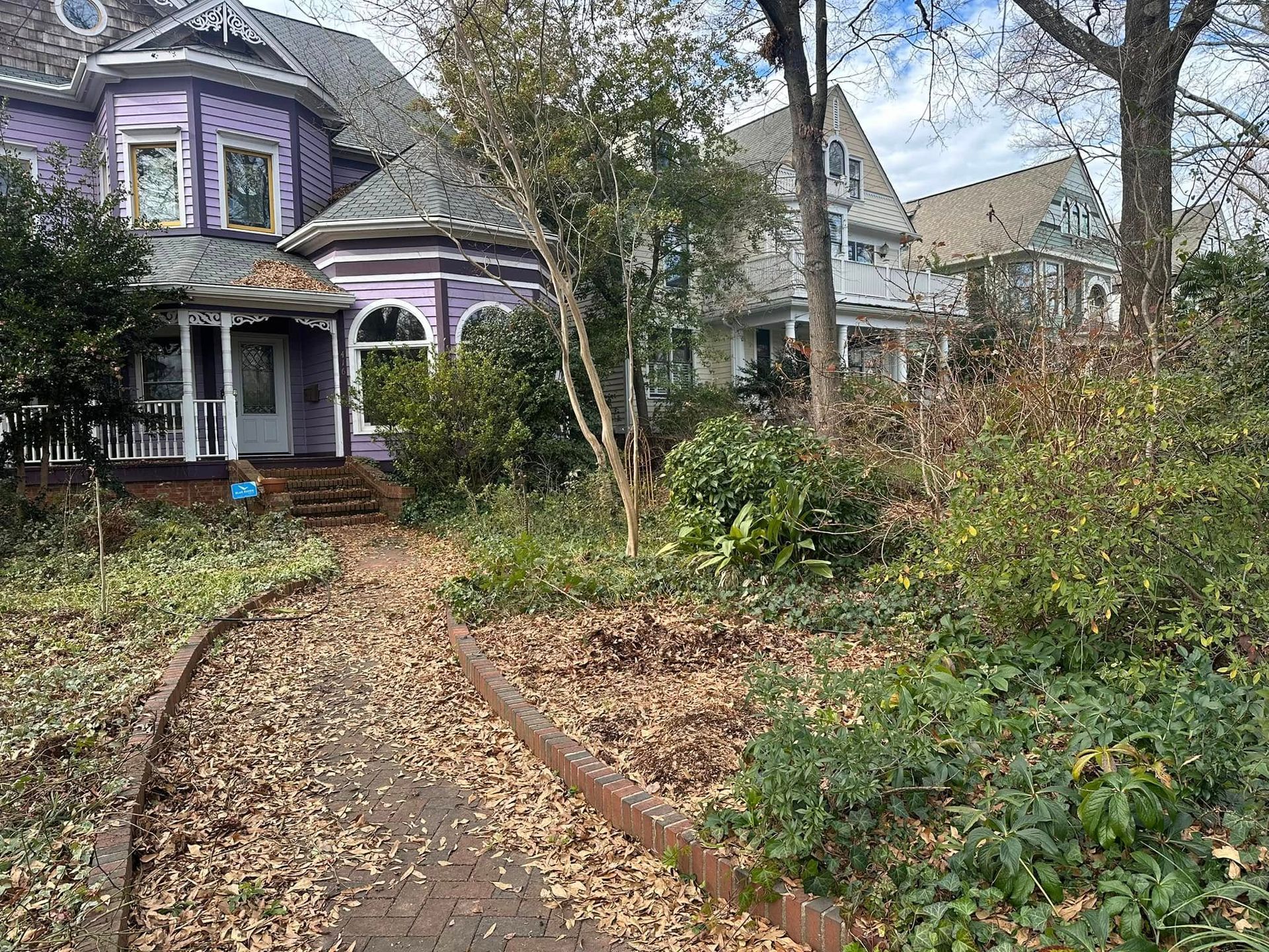 A purple house is surrounded by trees and a path leading to it.
