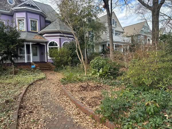 A purple house is surrounded by trees and bushes and has a path leading to it.
