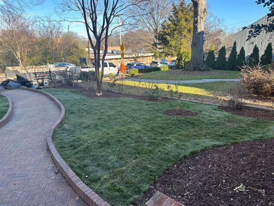 A path in a park with a lot of grass and trees