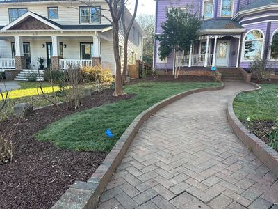 A brick walkway leading to a purple house and a white house.