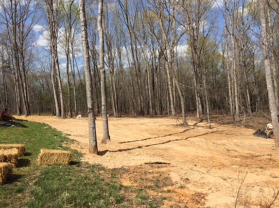 There is a lot of dirt in the middle of the woods.