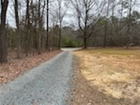 A gravel road goes through a field with trees on both sides.