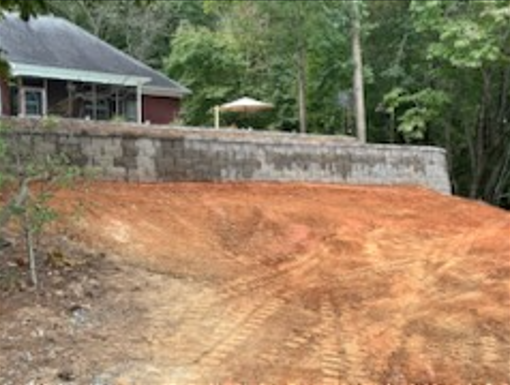 A dirt road leading to a house in the woods.