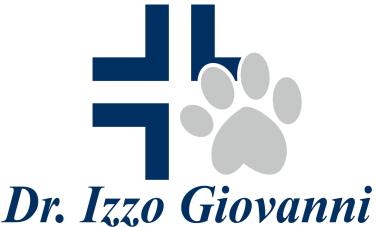 Dr Izzo Giovanni logo