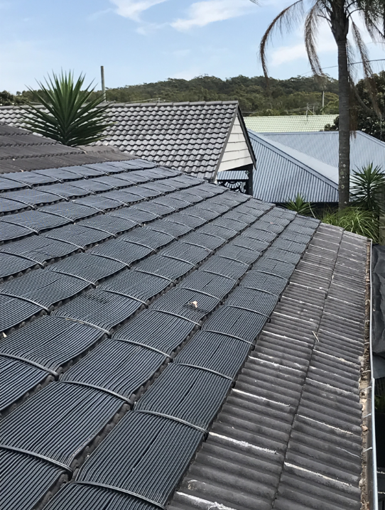 A Roof With a Lot of Tiles on It and a Palm Tree in the Background — Newcastle Solar Pool Heating Systems In Wyong, NSW