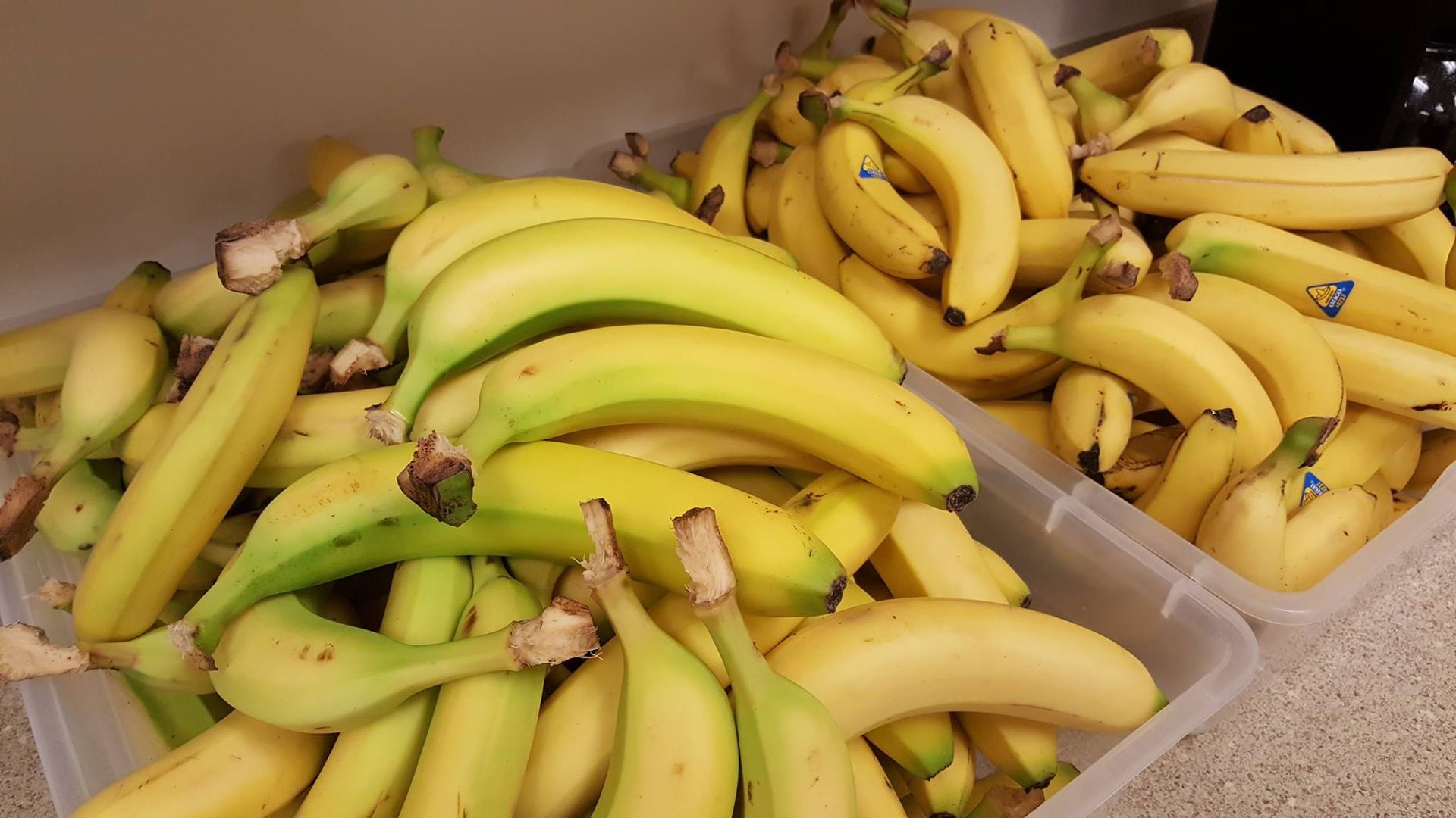 a bunch of bananas in plastic containers on a table