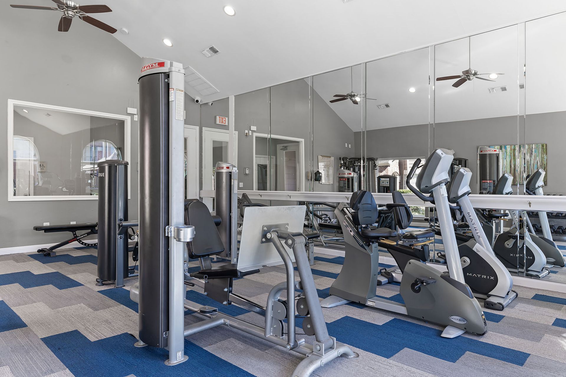 Modern community gym with cardio machines, weight machines, and mirrored walls.