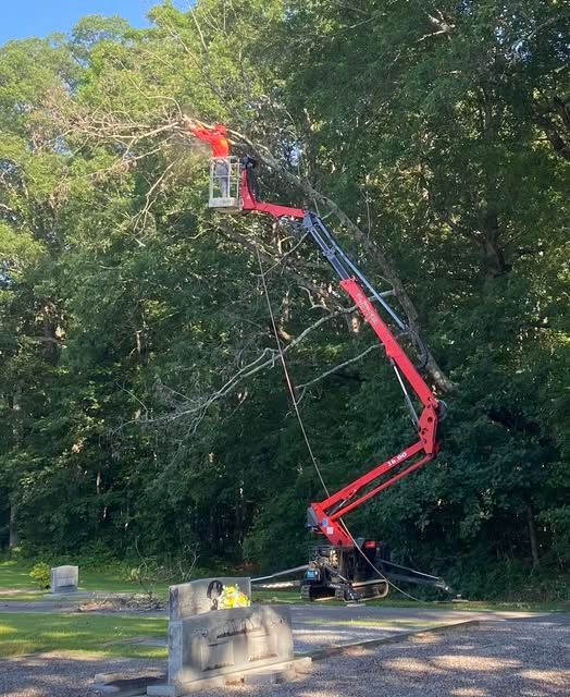 SAM - Tree Pruning